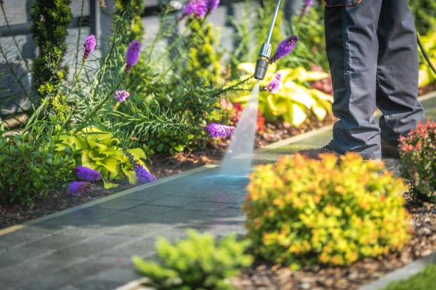 Lemoore, CA Pressure Washing Services Company